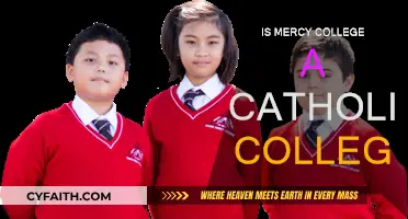 Mercy College: Catholic Education, Modern Values