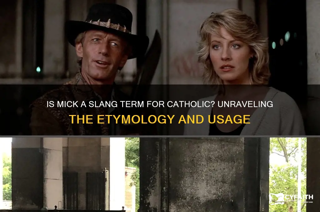 is mick slang for catholic