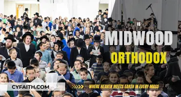 Exploring Midwood's Orthodox Jewish Community: Traditions, Lifestyle, and Culture
