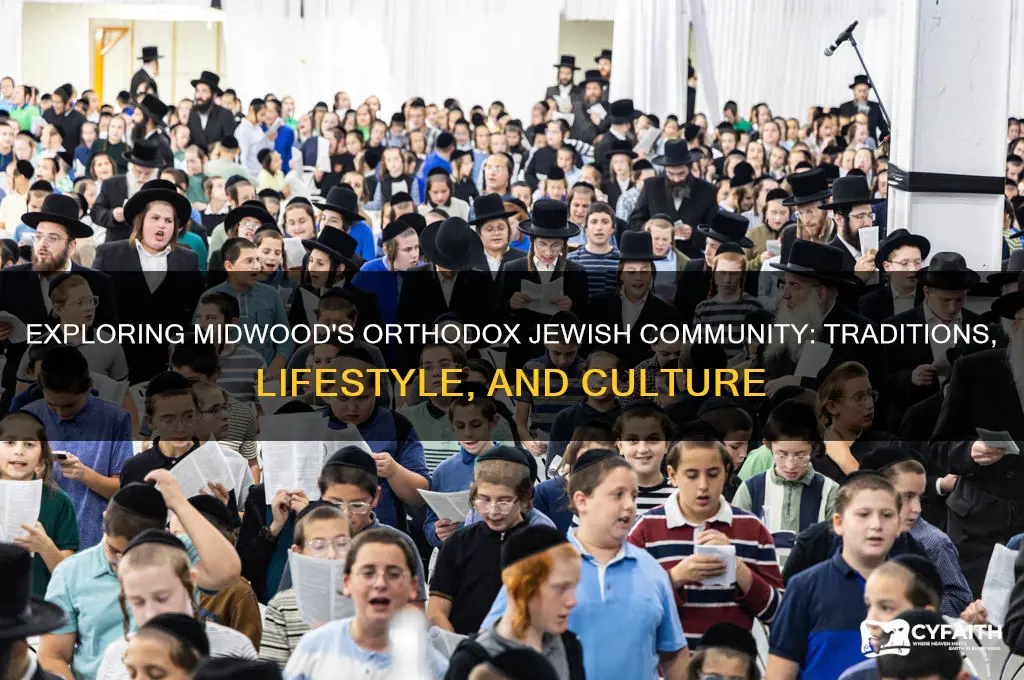 is midwood orthodox