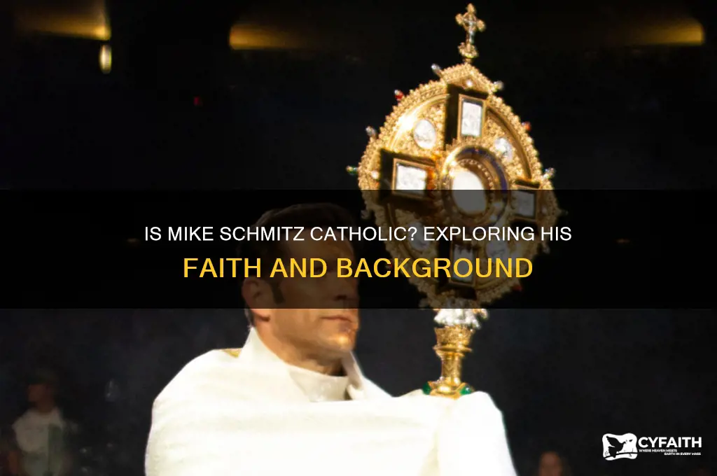 is mike schmitz catholic