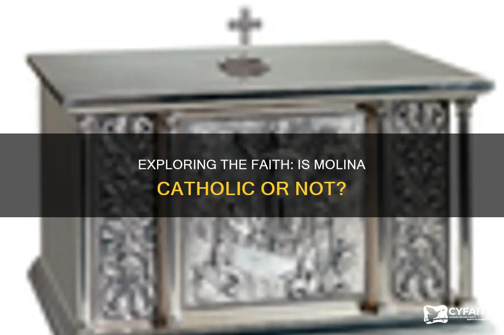 is molina catholic