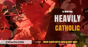 Exploring Montana's Religious Landscape: Is Catholicism Dominant?