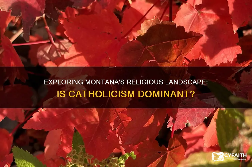 is montana heavily catholic