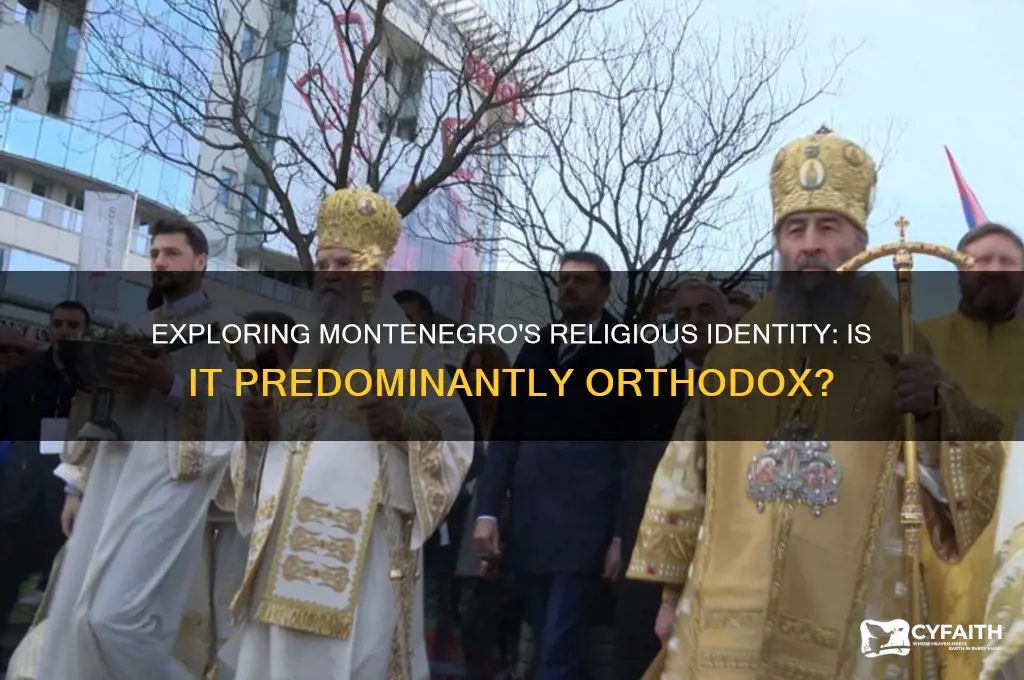 is montenegro orthodox