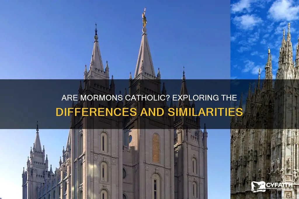 is mormon catholic