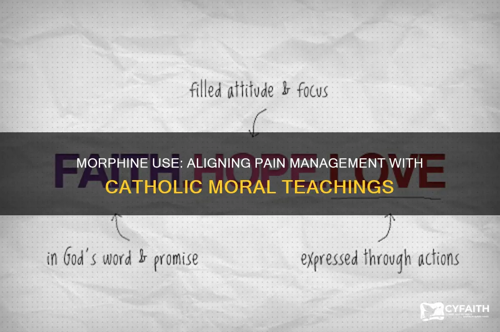 is morphine against catholic teaching