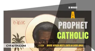 Moses as a Prophet: Catholic Perspective and Biblical Insights