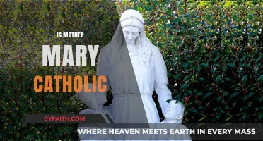 Is Mother Mary Exclusively Catholic? Exploring Her Universal Reverence