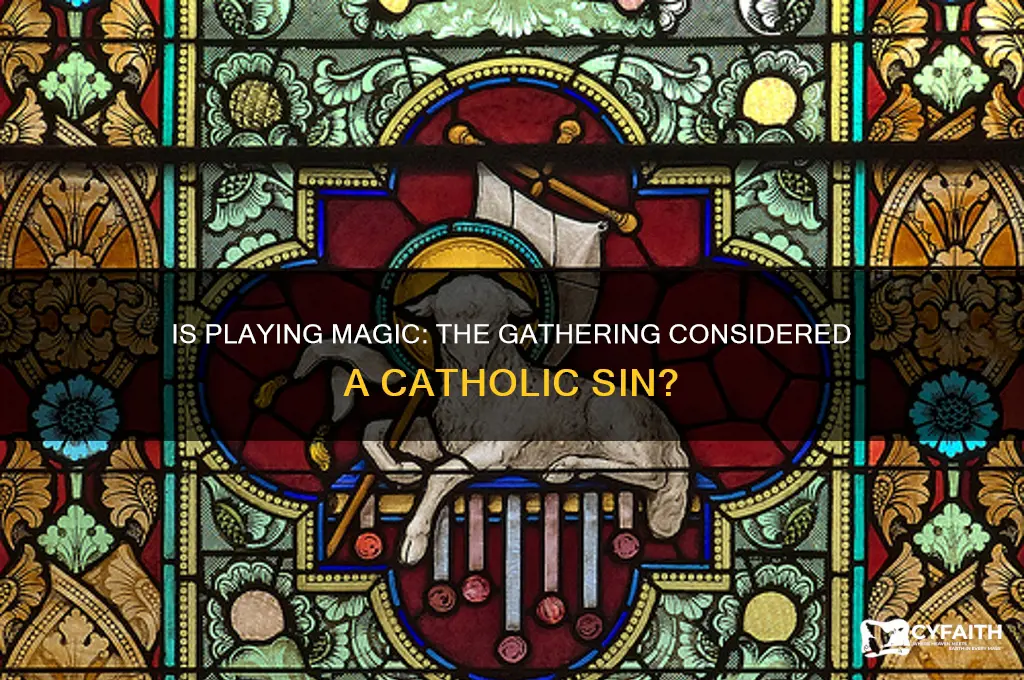 is mtg a catholic sin