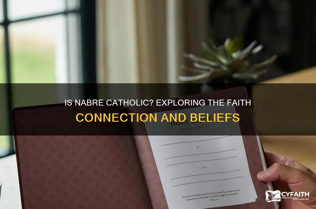 is nabre catholic