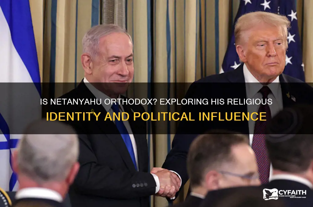 is natenyahu orthodox
