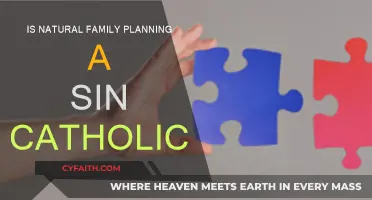 Natural Family Planning: Sin or Catholic Choice?