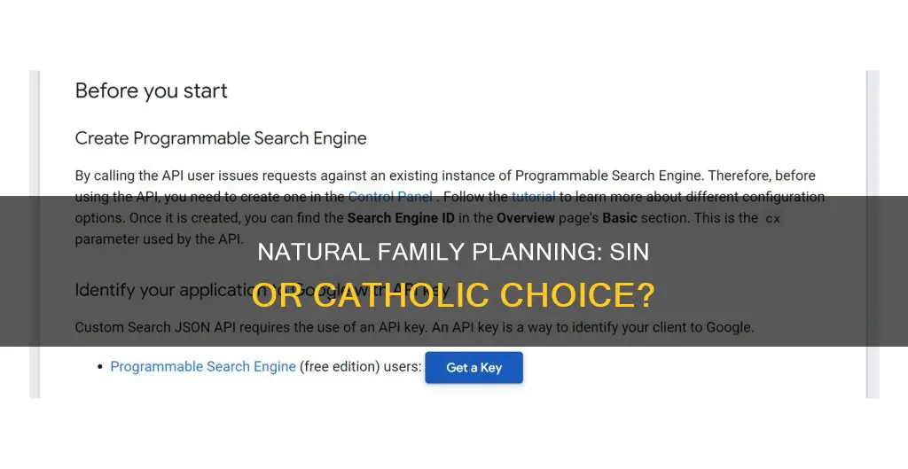 is natural family planning a sin catholic