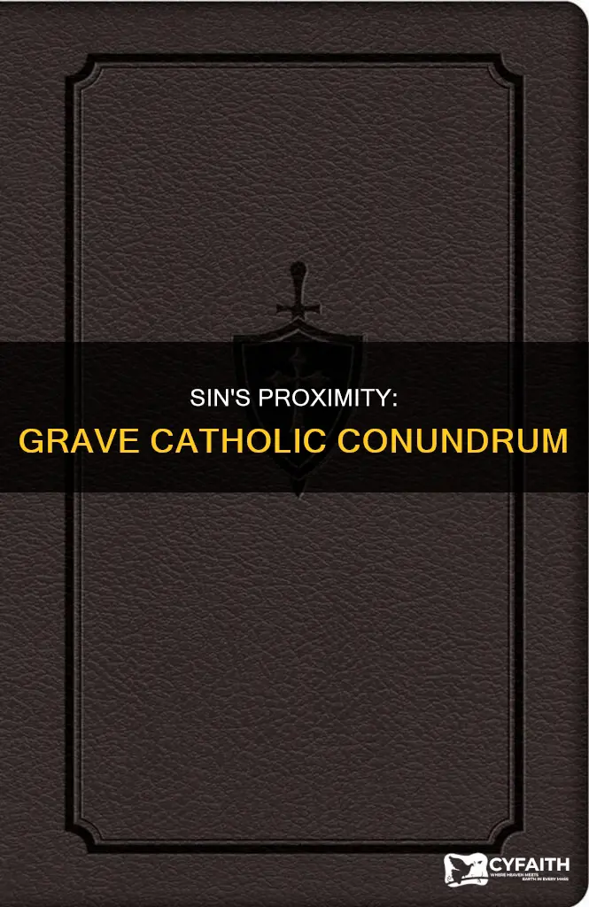 is near occasion of sin grave catholic answers