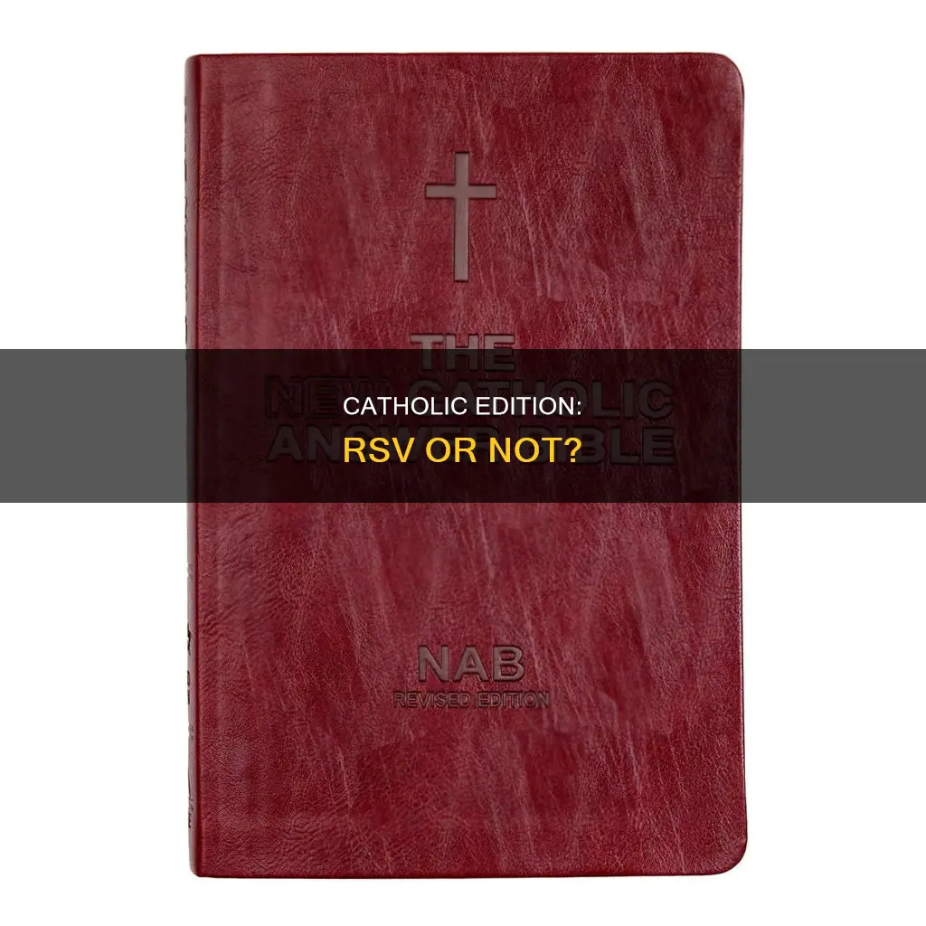 is new revised standard version catholic edition catholic
