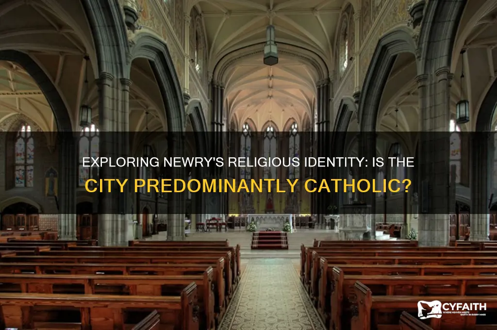 is newry catholic