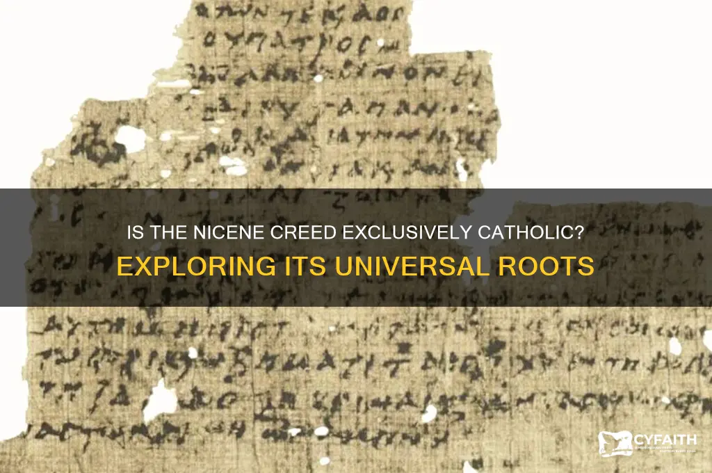 is nicene creed catholic