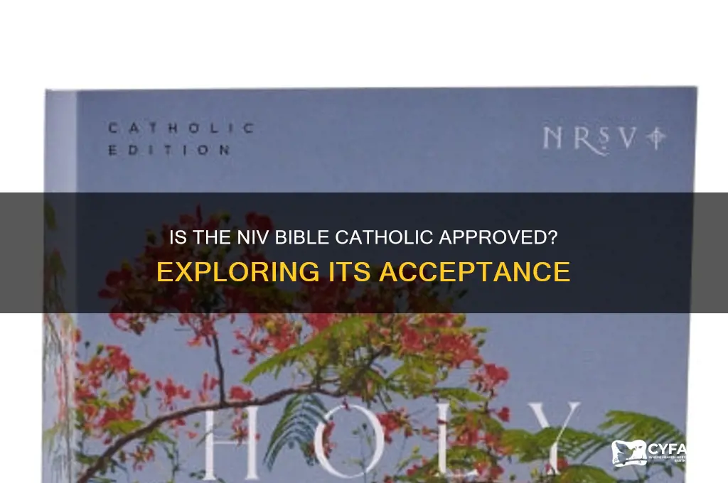 is niv catholic approved