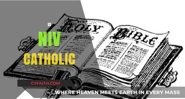 Is the NIV Bible Catholic? Exploring Its Denominational Alignment
