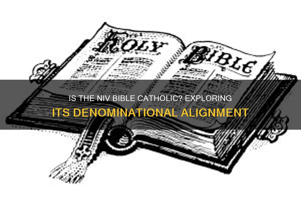 is niv catholic