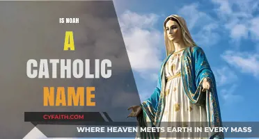 Is Noah a Catholic Name? Exploring Origins and Religious Connections