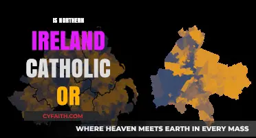 Northern Ireland's Religious Identity: Catholic or Protestant? Exploring the Divide