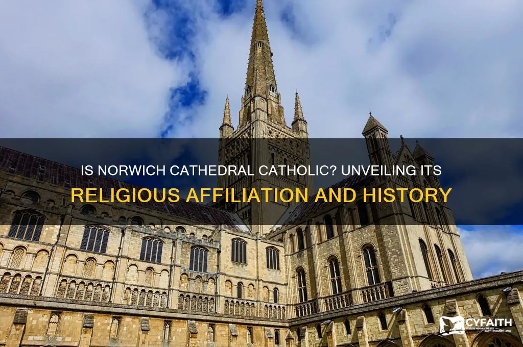 is norwich cathedral catholic