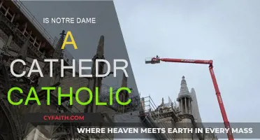 The Catholic Identity of Notre Dame Cathedral