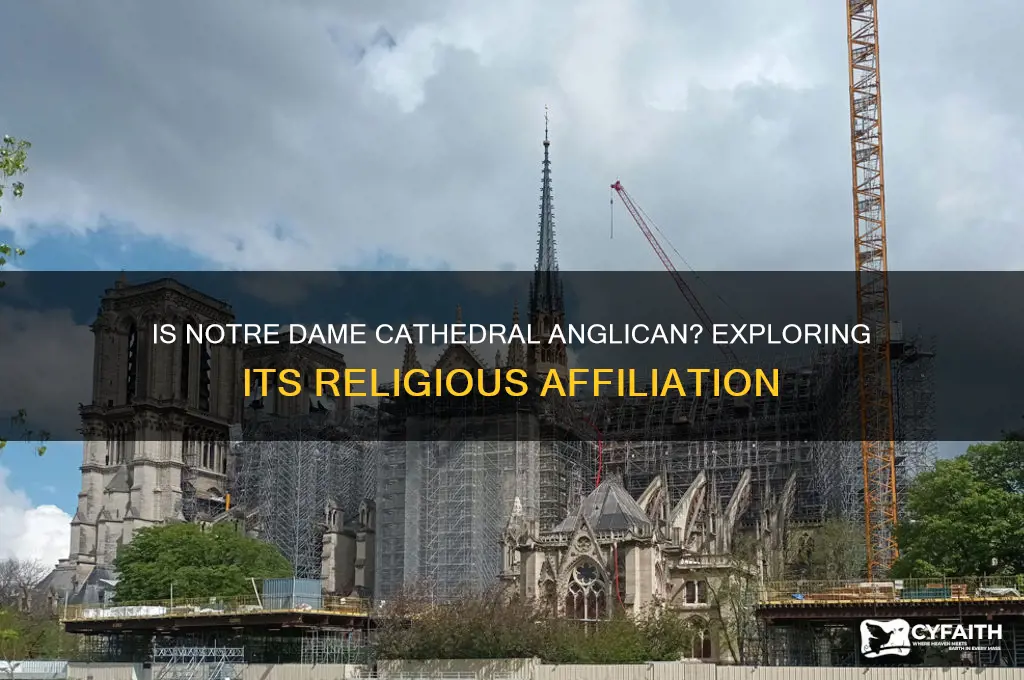 is notre dame cathedral anglican