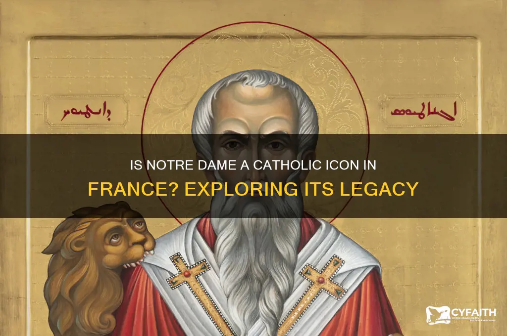 is notre dame catholic france
