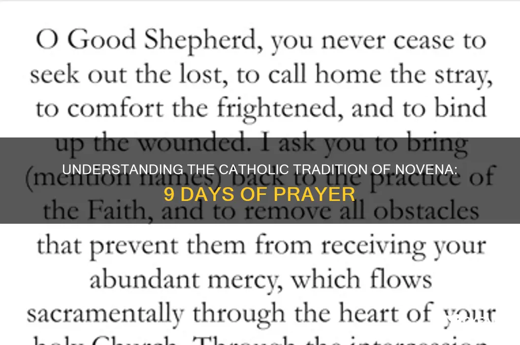 is novena catholic 9