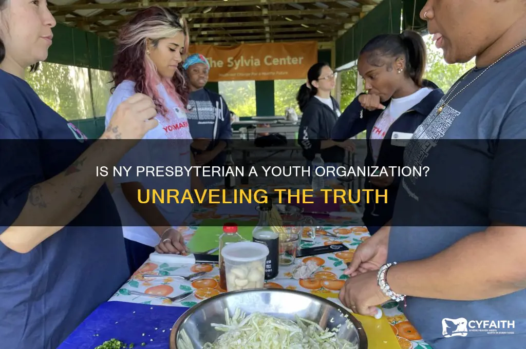 is ny presbyterian a youth organization