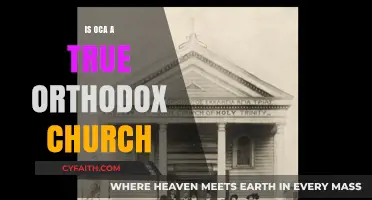 Is the Orthodox Church in America a True Orthodox Church?