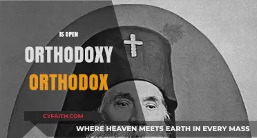 Is Open Orthodoxy Truly Orthodox? Exploring Boundaries and Beliefs