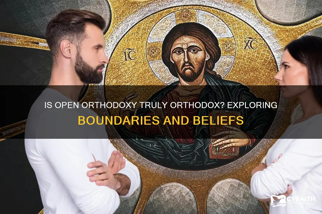 is open orthodoxy orthodox