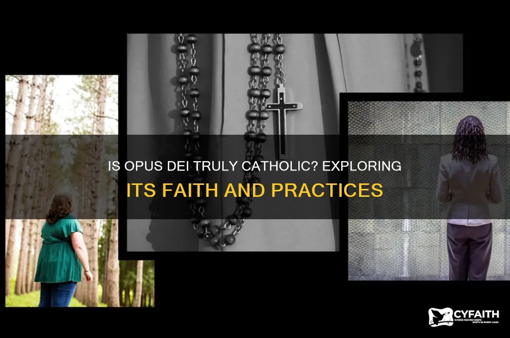 is opus dei catholic