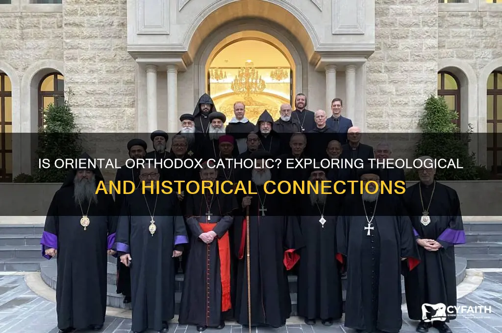 is oriental orthodox catholic