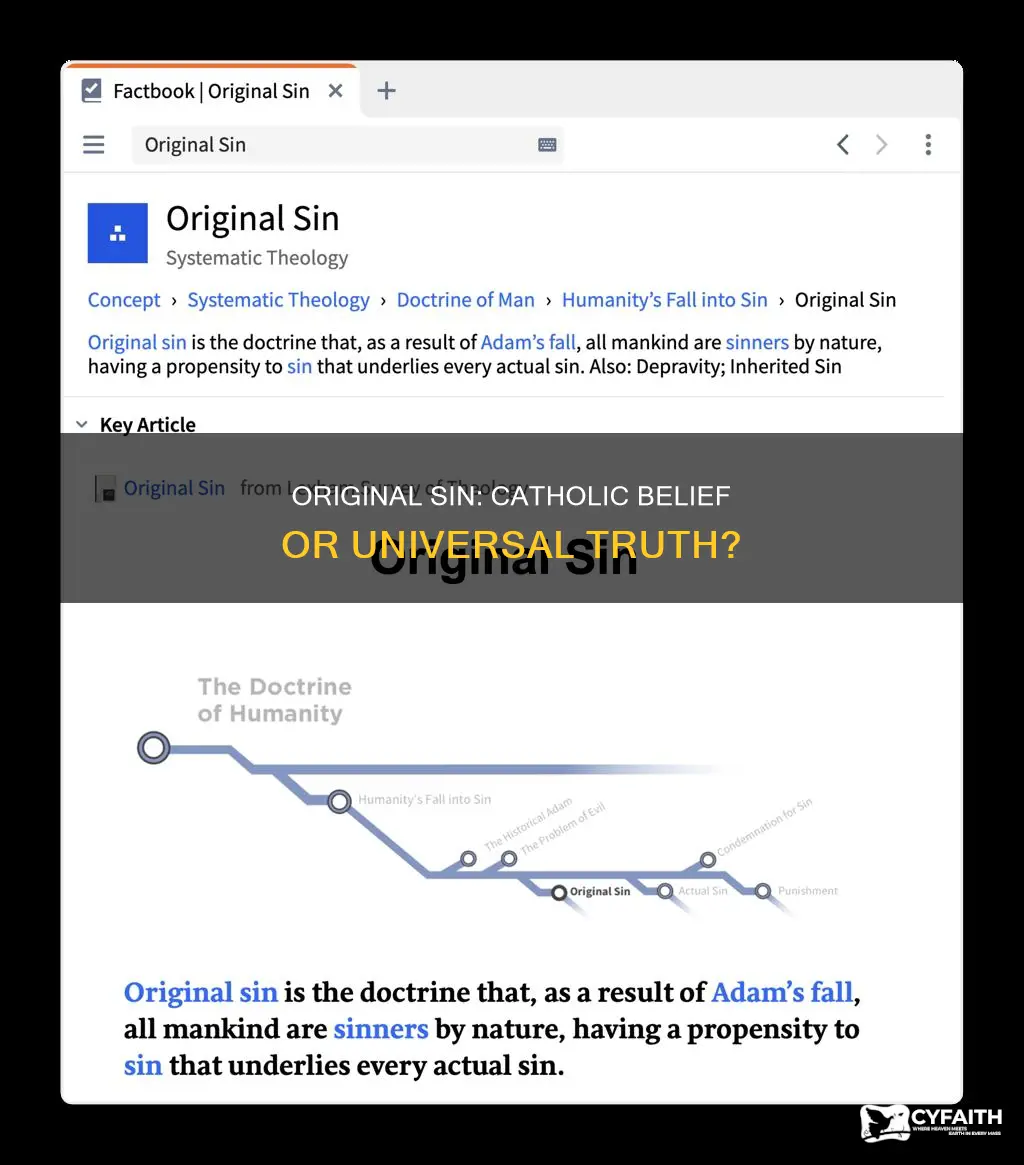is original sin only a catholic belief
