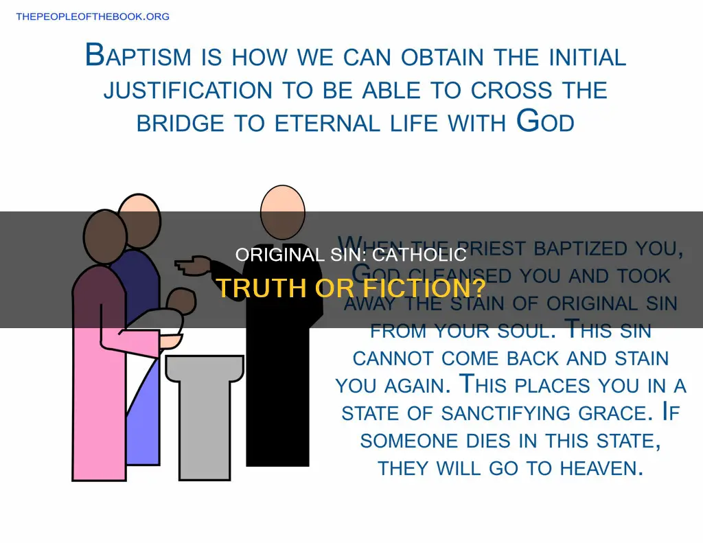 is original sin story real catholic answer