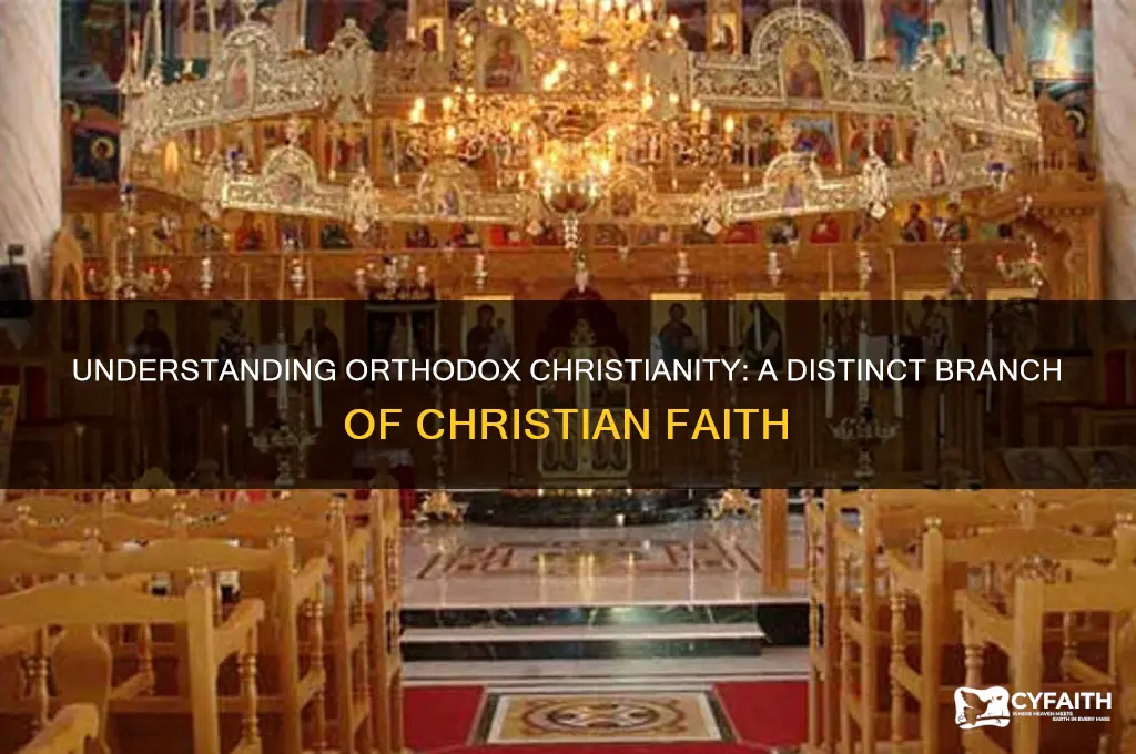 is orthodox a branch of christianity
