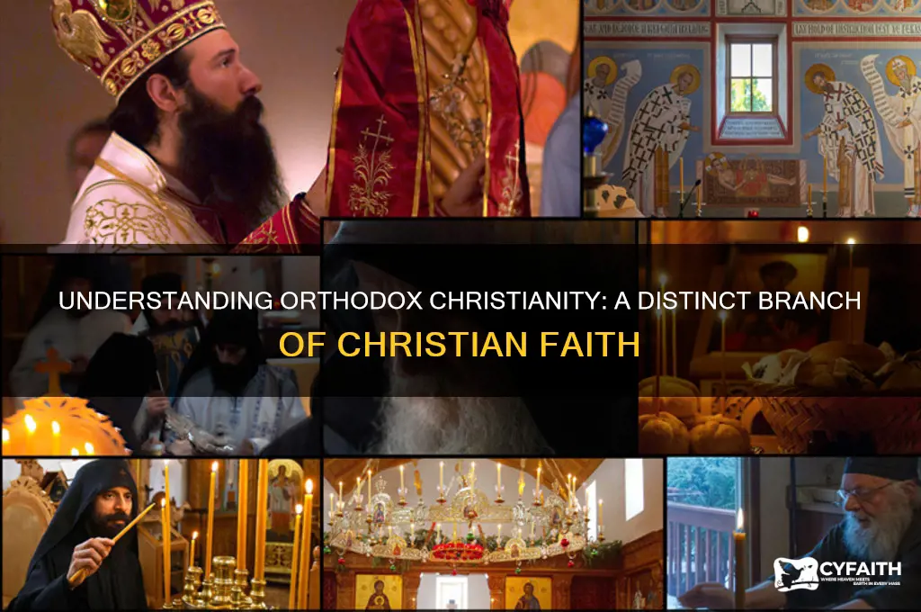 is orthodox a type of christianity