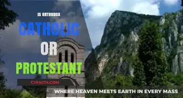 Orthodox vs. Protestant: Understanding Key Theological and Historical Differences