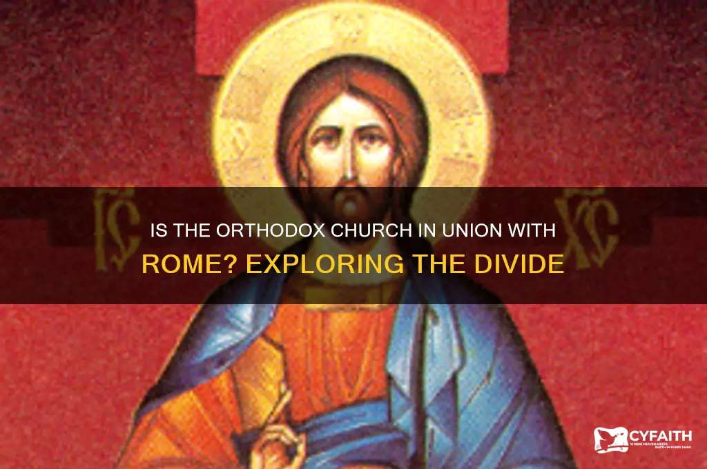 is orthodox church in union with rome