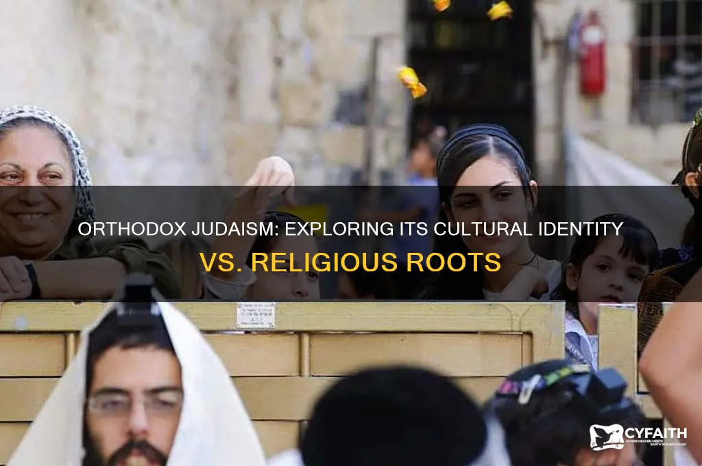is orthodox jewish a culture or religion