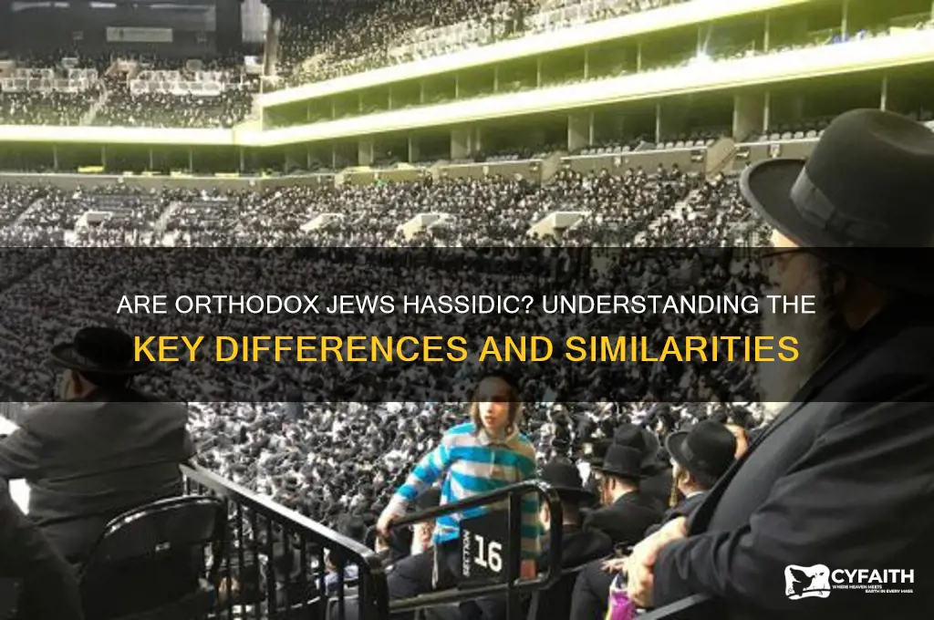 is orthodox jews hassidic