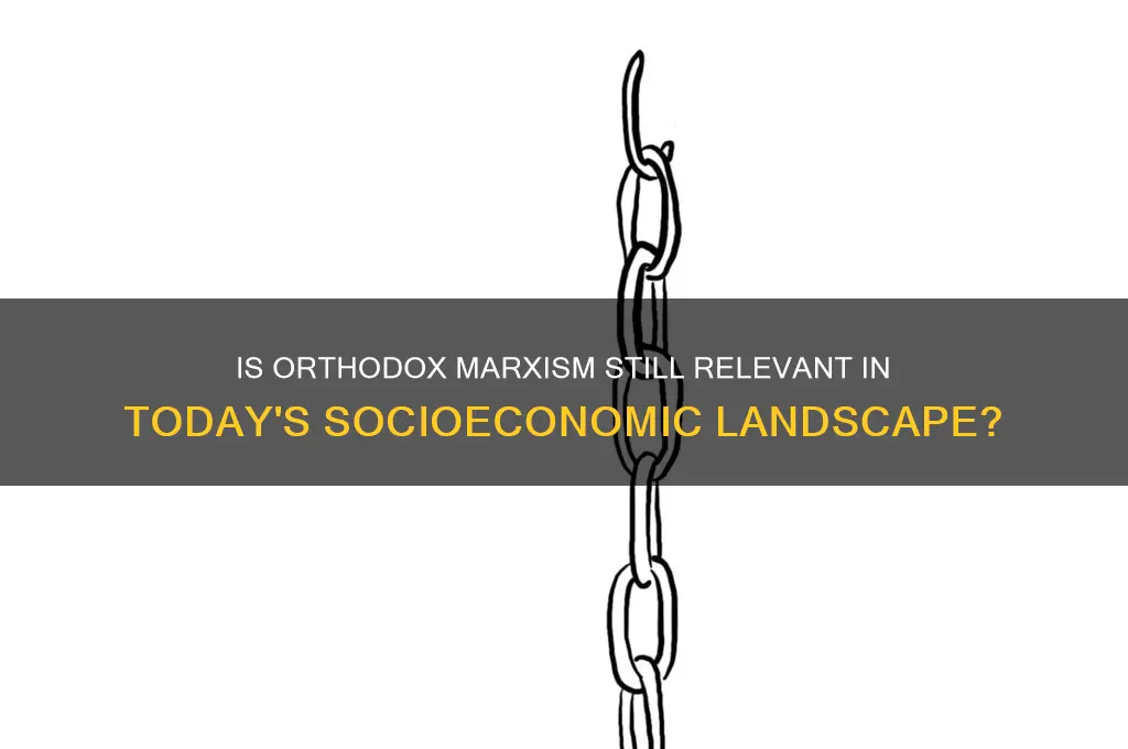 is orthodox marxism good