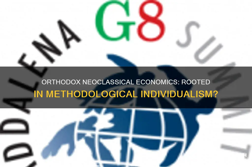 is orthodox neoclassical economics founded in methodological individualism