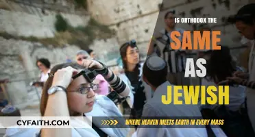 Orthodox vs. Jewish: Understanding the Key Differences and Similarities