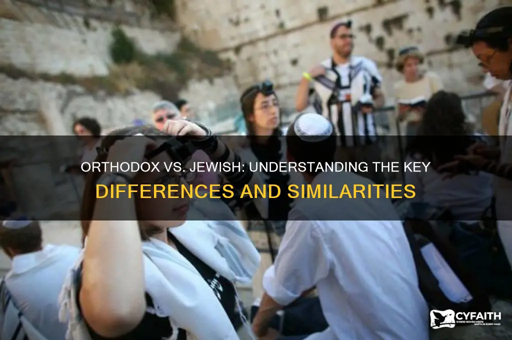 is orthodox the same as jewish